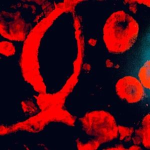 Meet your Posher, Ikenna